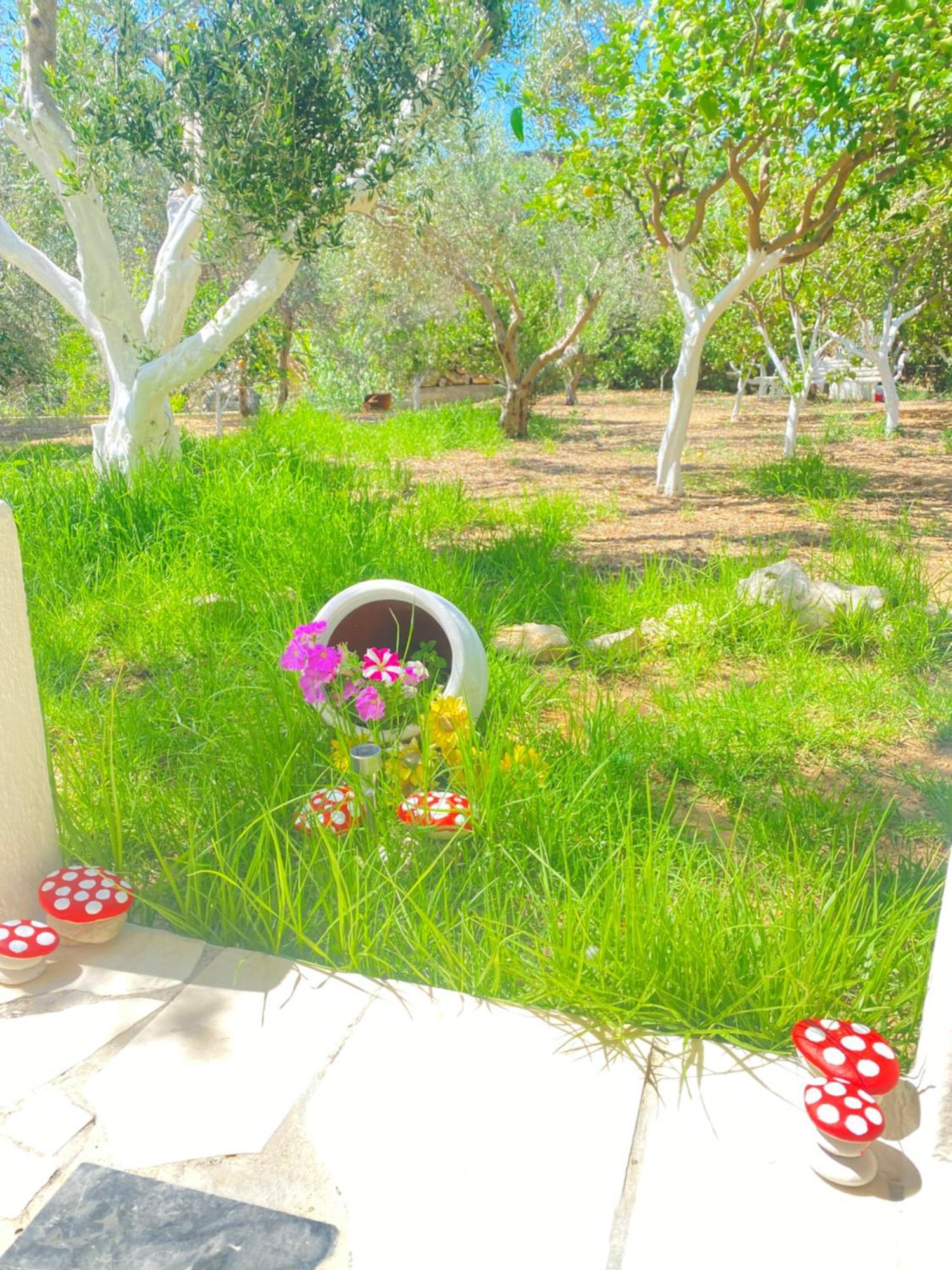 Nikis Home レティムノ エクステリア 写真